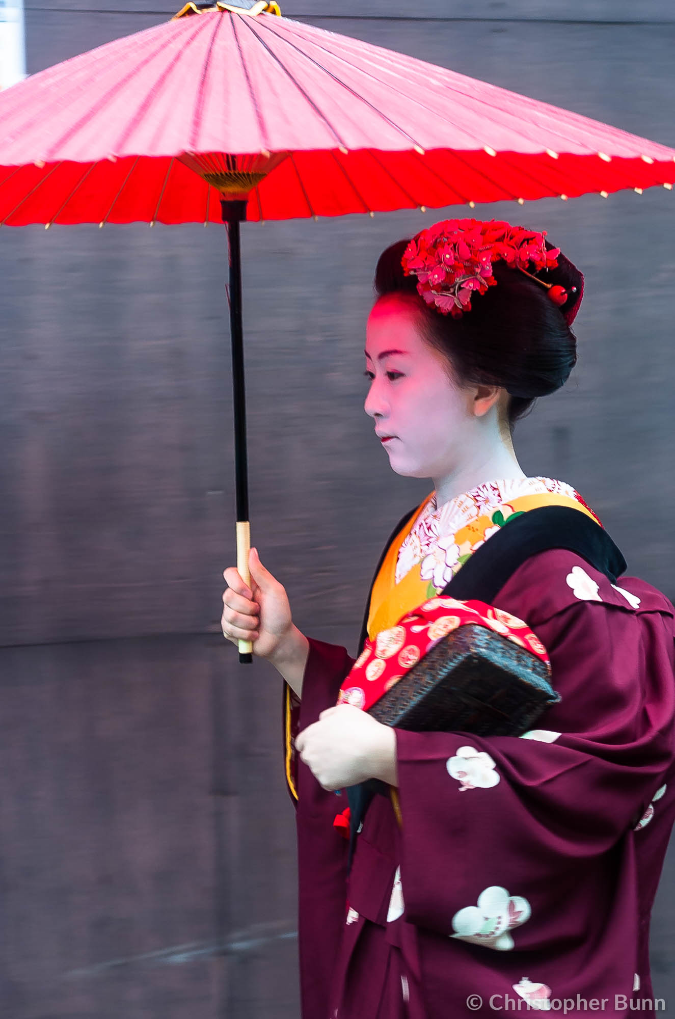 A maiko on her way to an appointment in Gion, Kyoto.
